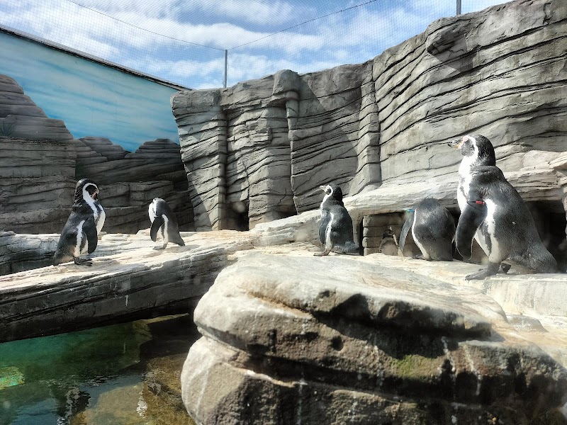 SEA LIFE Great Yarmouth photo 2