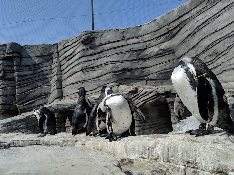 SEA LIFE Great Yarmouth photo 3