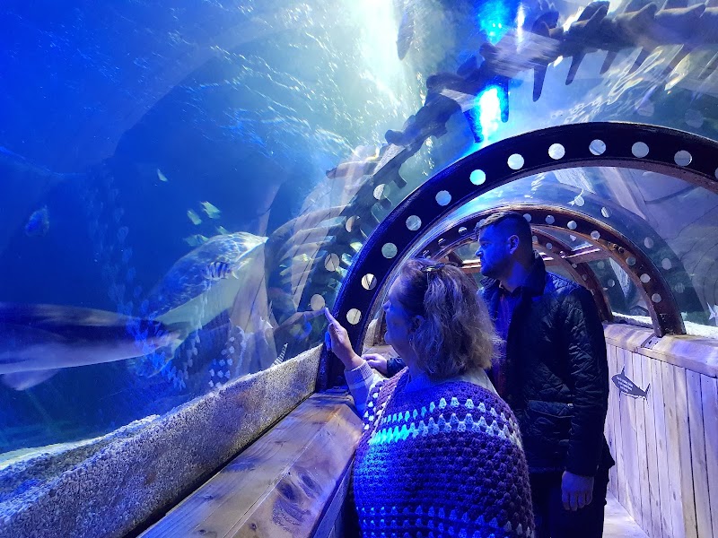 SEA LIFE Hunstanton photo 3