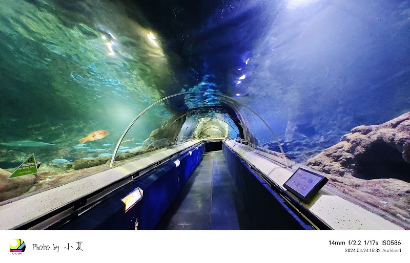 SEA LIFE Kelly Tarlton's Aquarium