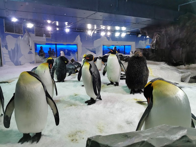 SEA LIFE Kelly Tarlton's Aquarium photo 2