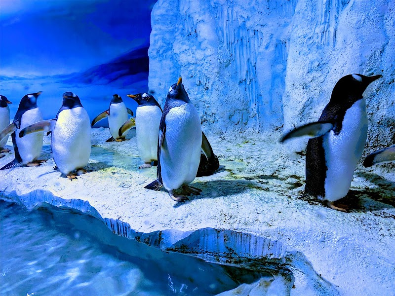 SEA LIFE London Aquarium photo 2
