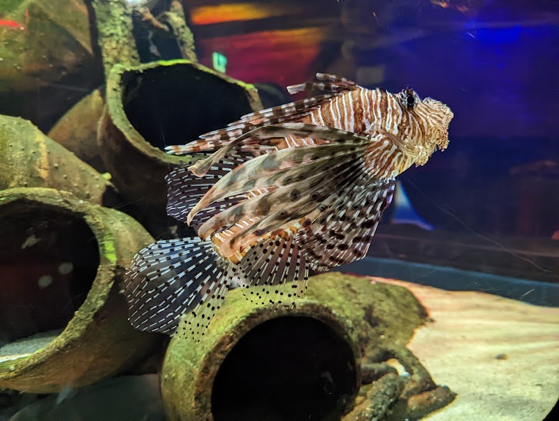 SEA LIFE Melbourne Aquarium photo 2