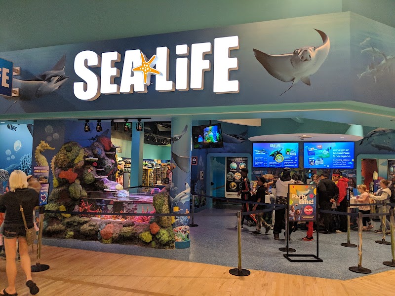 SEA LIFE Michigan Aquarium photo 2