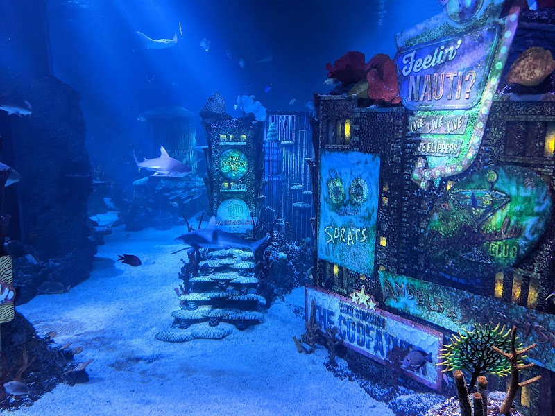 SEA LIFE New Jersey Aquarium photo 2