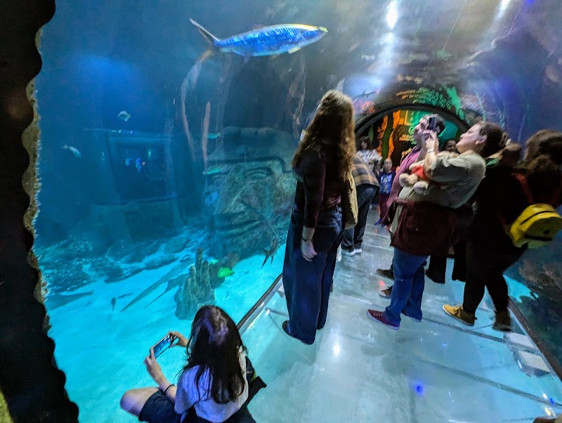 SEA LIFE Orlando Aquarium