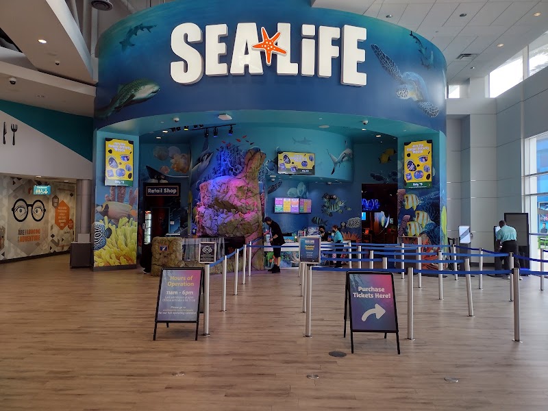 SEA LIFE Orlando Aquarium photo 2