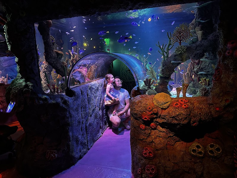 SEA LIFE San Antonio photo 3