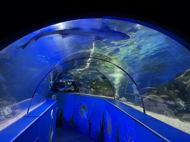 SEA LIFE Scarborough photo 2