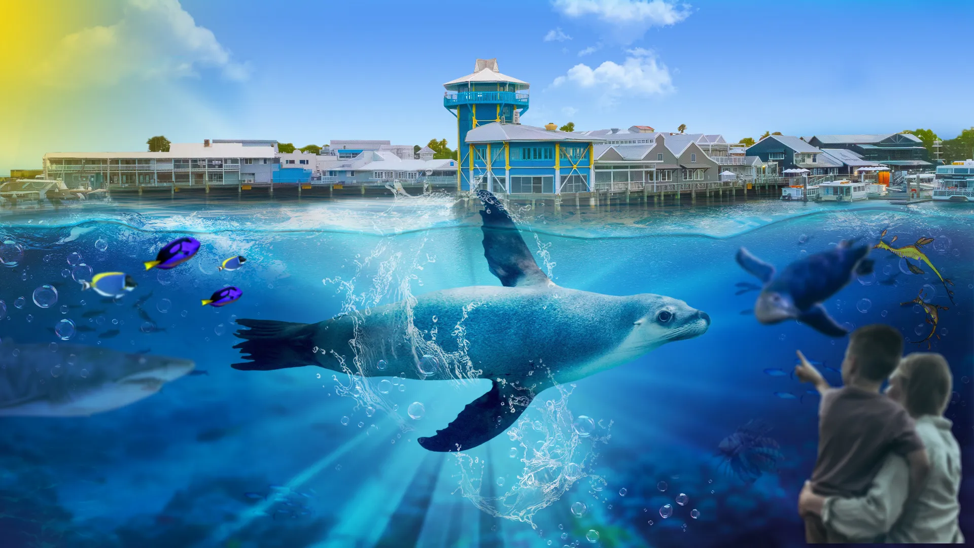 SEA LIFE Sunshine Coast Aquarium photo 2