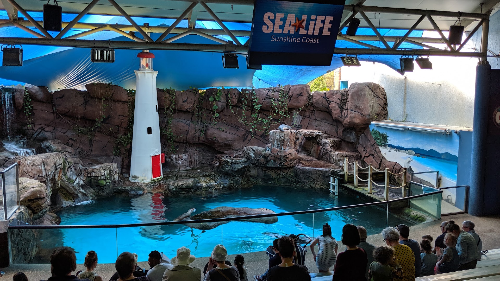 SEA LIFE Sunshine Coast Aquarium