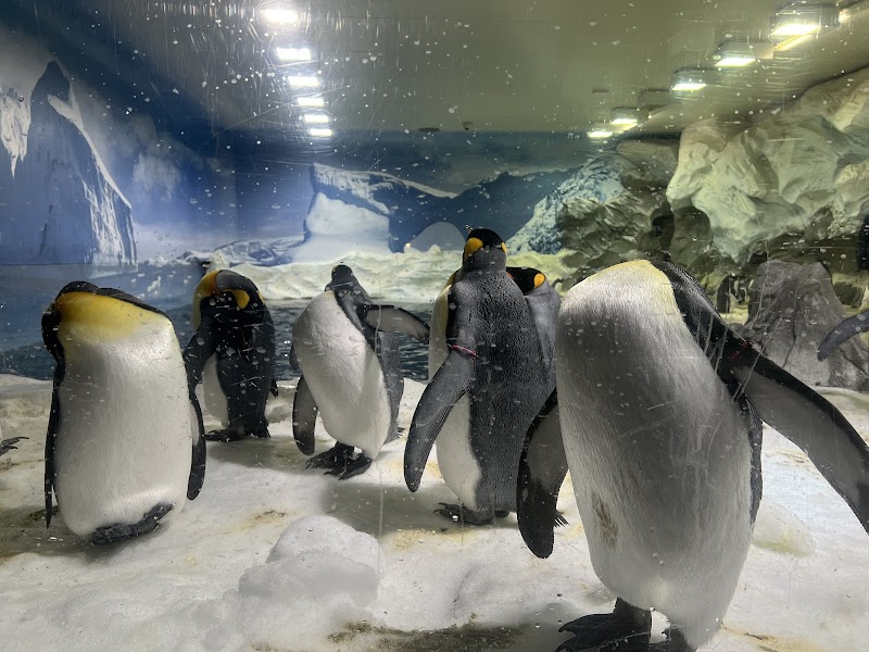 Sea World Gold Coast photo 2