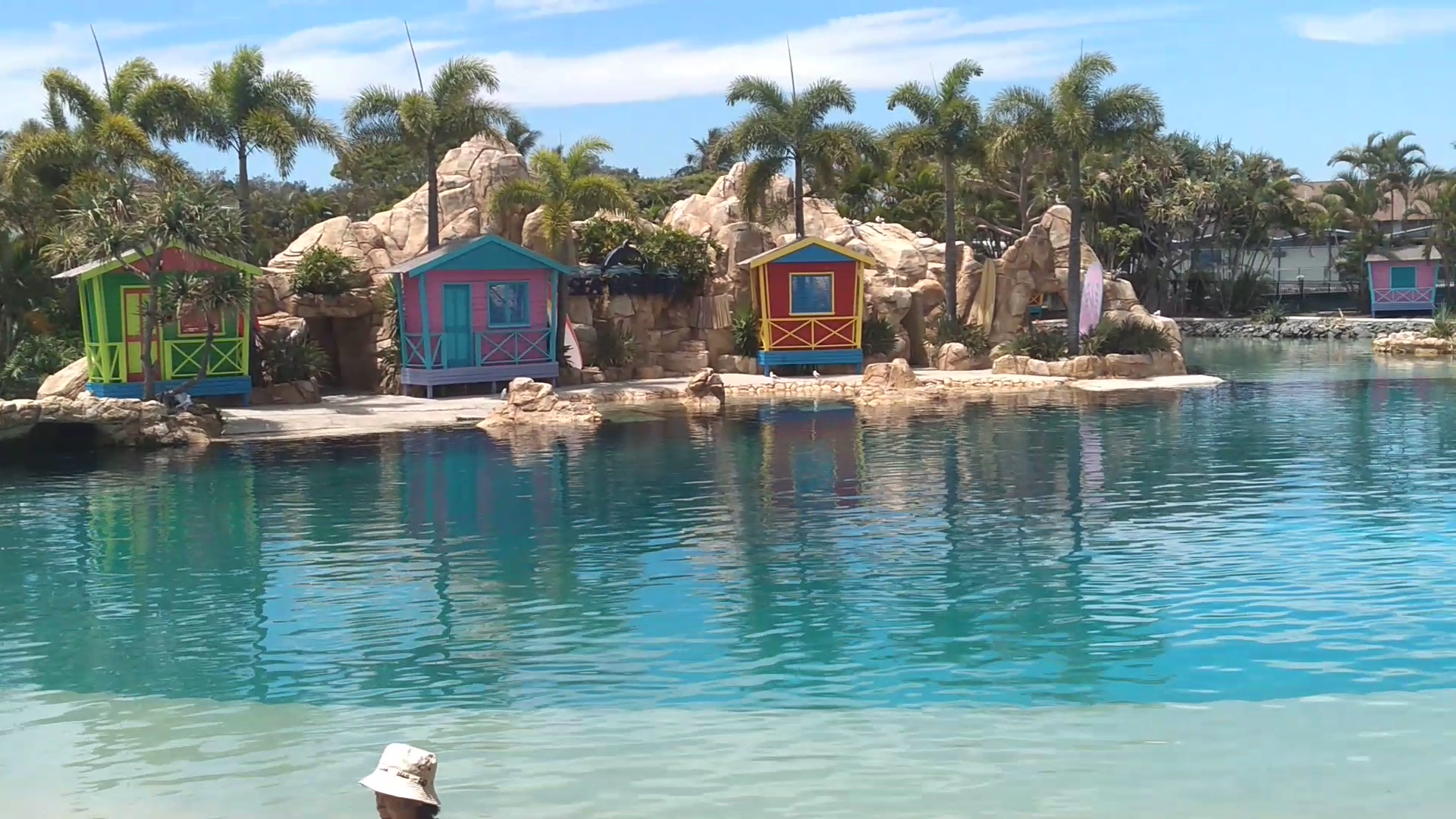 Sea World Gold Coast