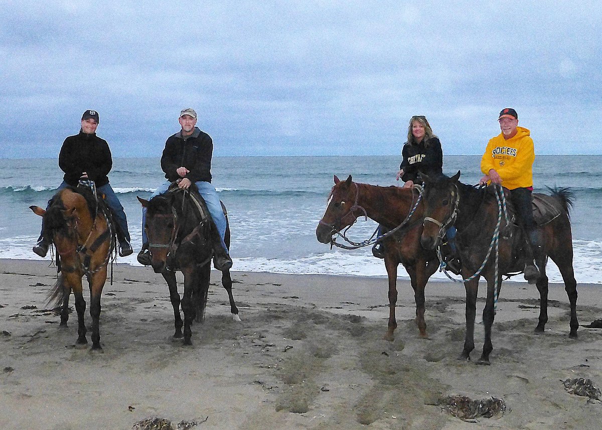 Seahorse Riding Club