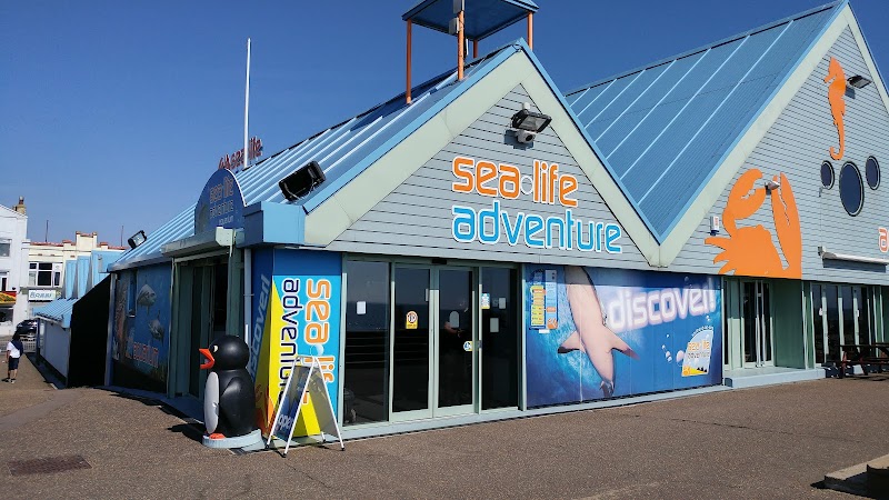 Sealife Adventure