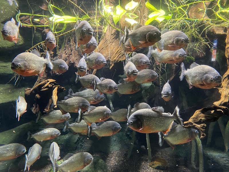 Sealife Adventure photo 3