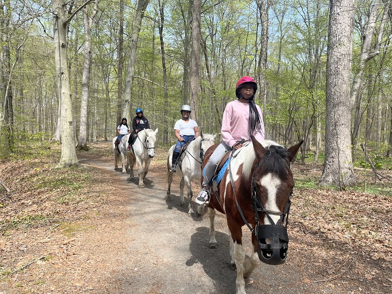 Seaton Hackney Stables -Equishare USA, LLC photo 2