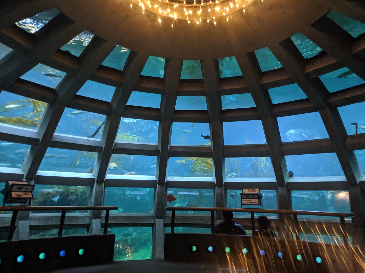 Seattle Aquarium photo 3