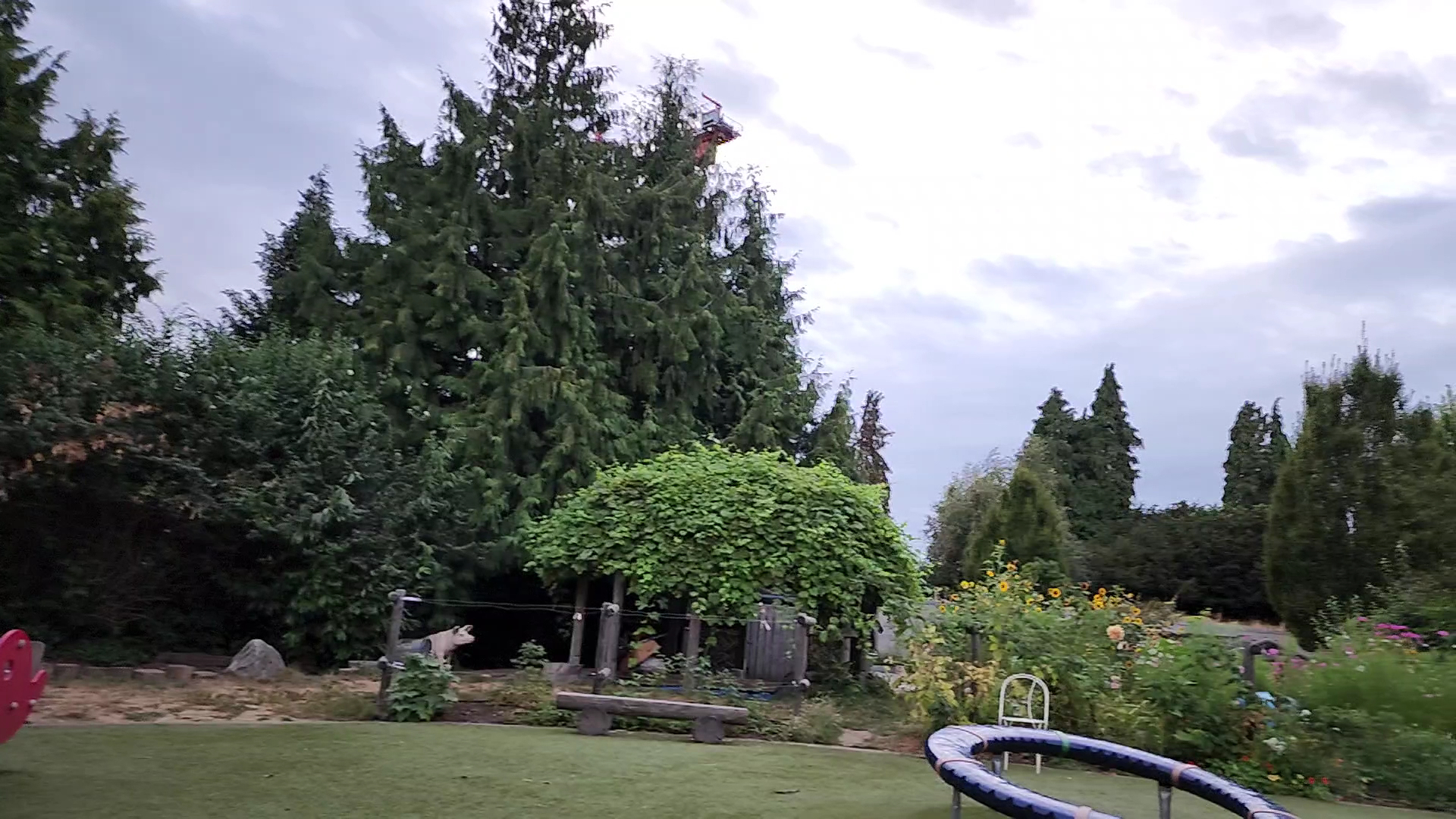Seattle Children's PlayGarden photo 2
