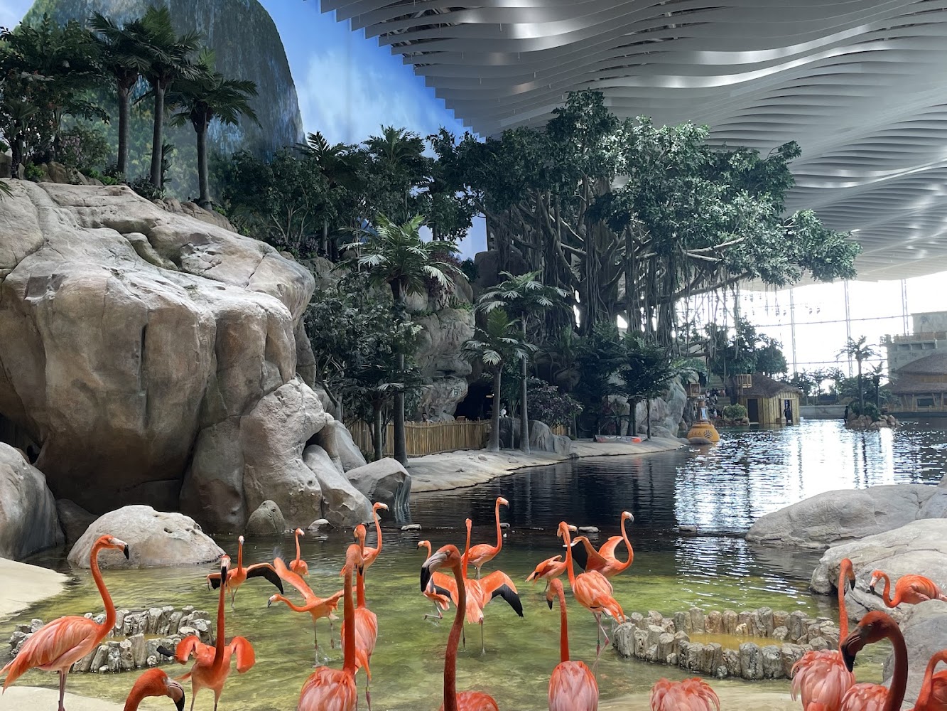 SeaWorld Abu Dhabi | سي وورلد جزيرة ياس، أبوظ photo 2