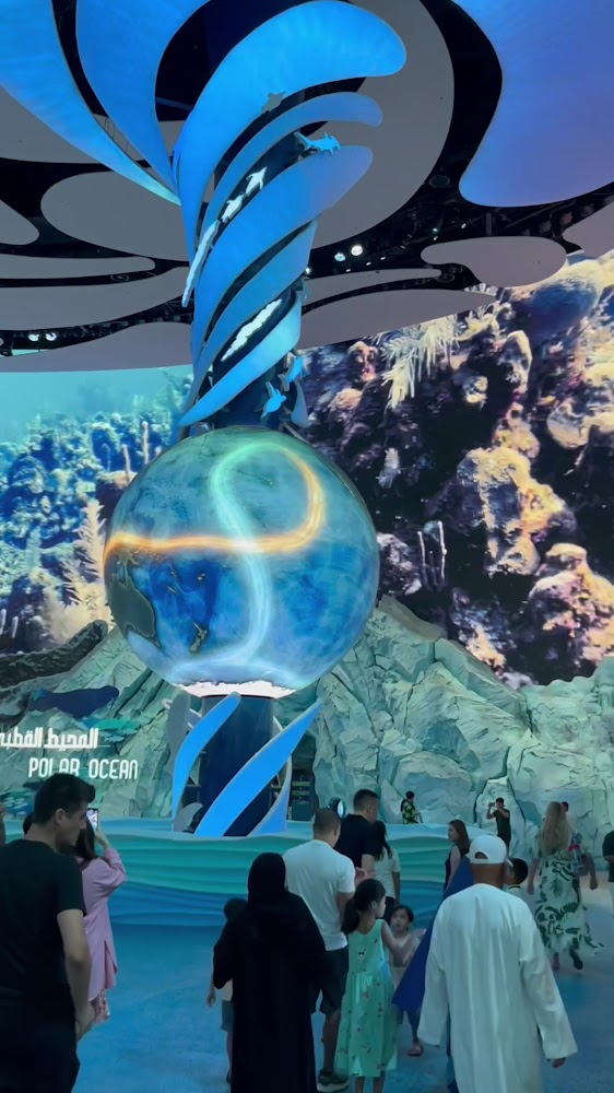 SeaWorld Abu Dhabi | سي وورلد جزيرة ياس، أبوظ photo 3