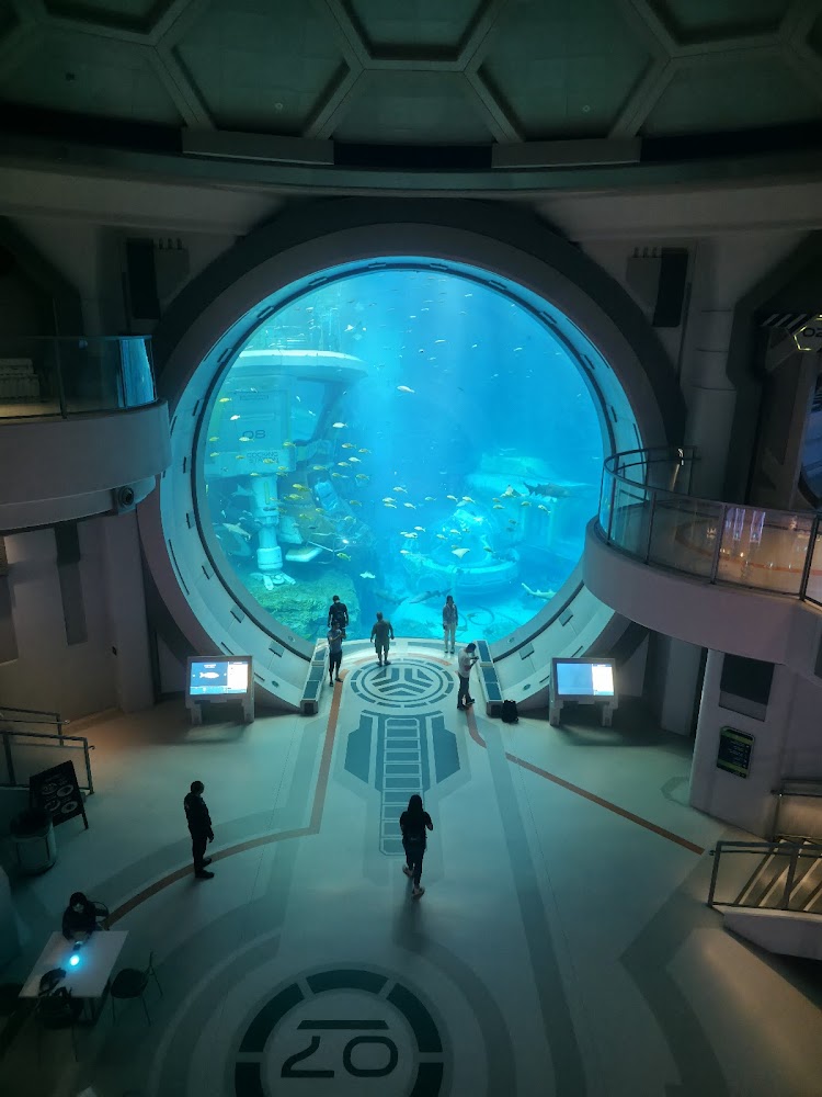 SeaWorld Abu Dhabi | سي وورلد جزيرة ياس، أبوظ photo 4