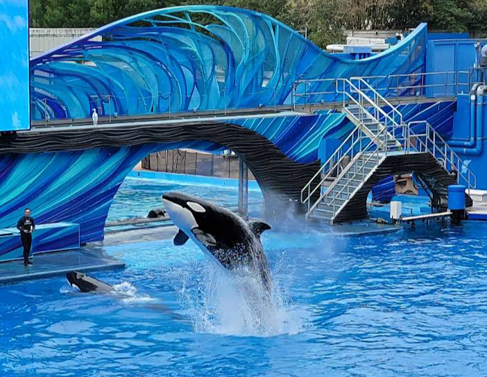 SeaWorld Orlando photo 3