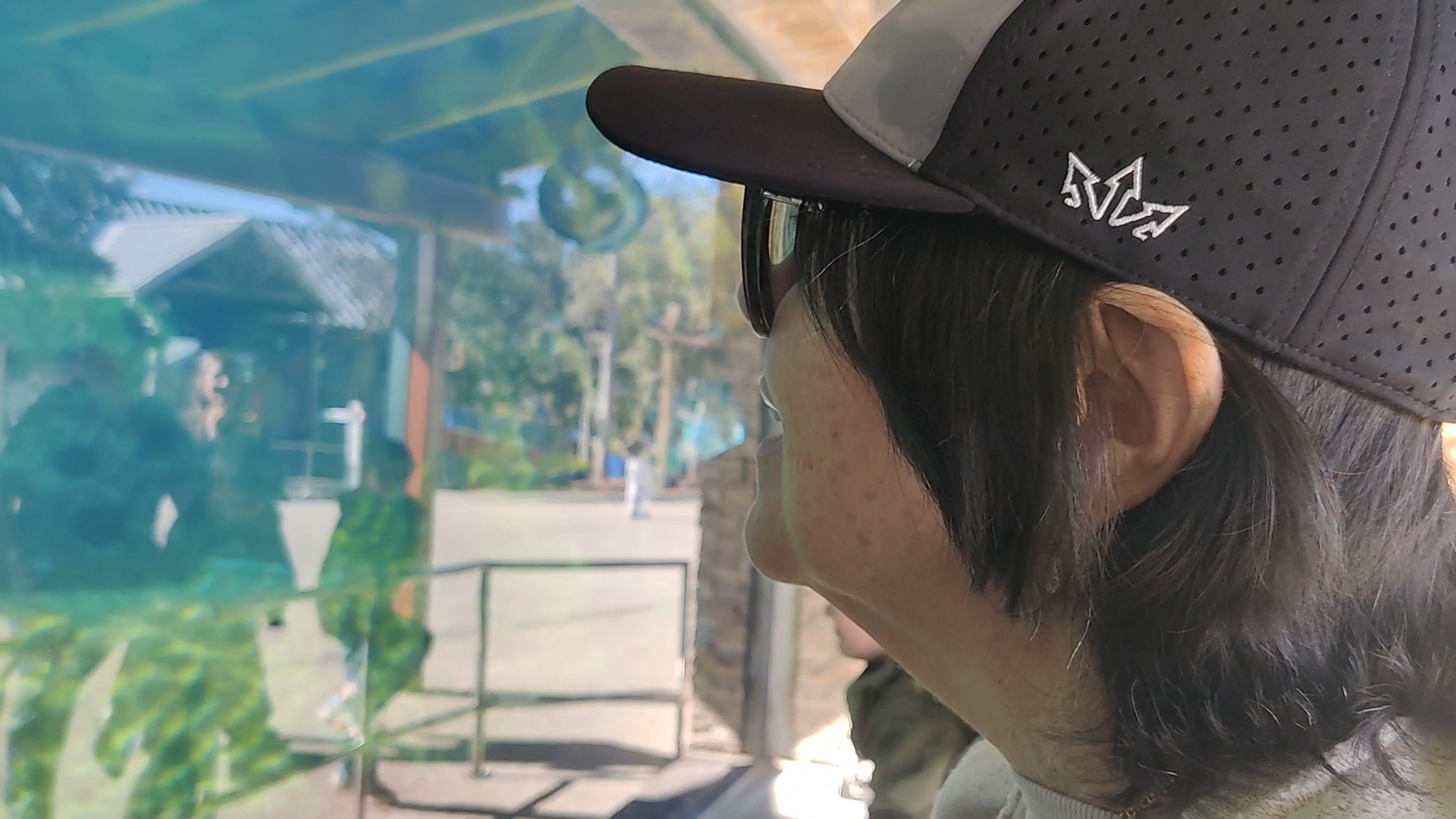 SeaWorld San Antonio photo 2