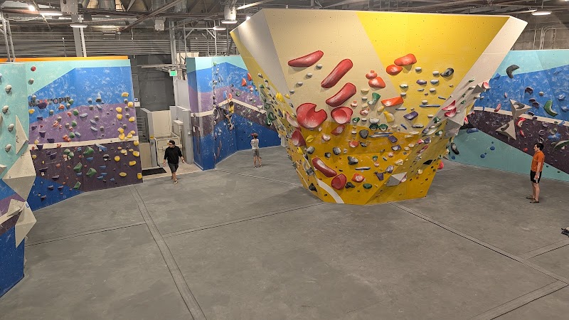 Sender One Climbing - Westwood photo 2