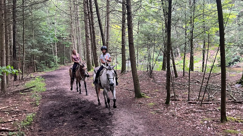 Serene Horse Ranch