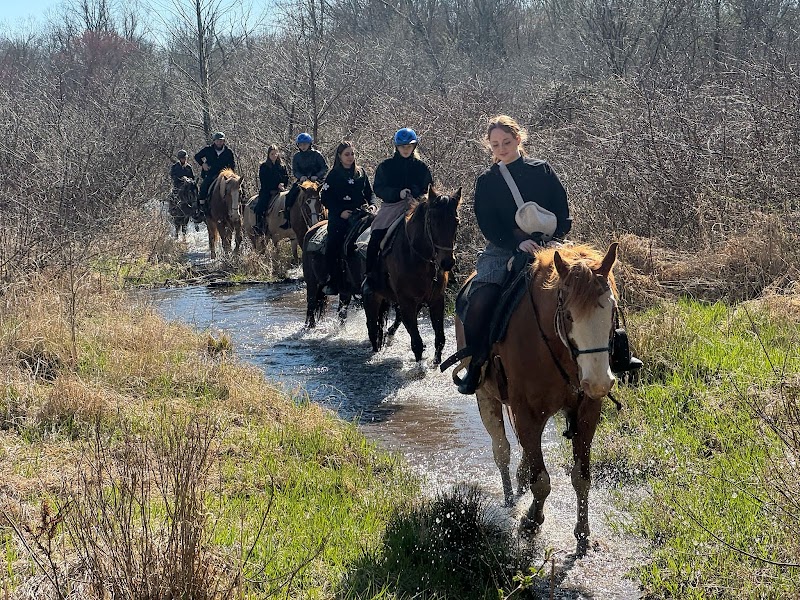 Serene Horse Ranch photo 2