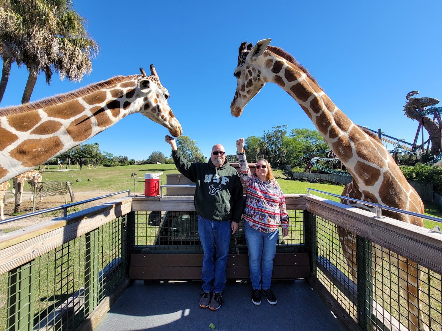 Serengeti Safari