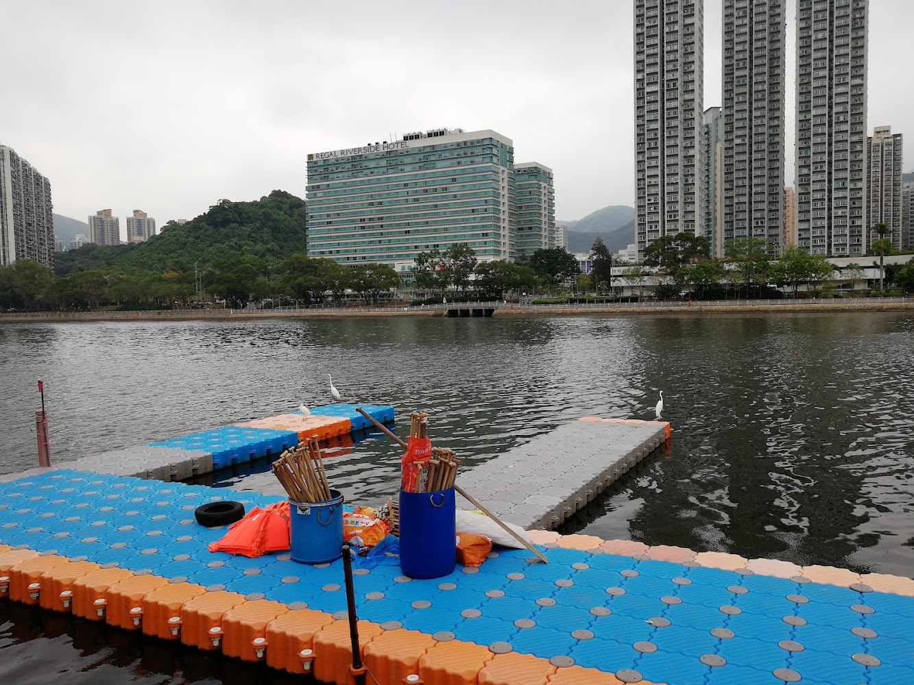 Sha Tin Jockey Club Swimming Pool photo 4