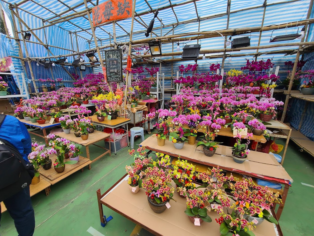 Sha Tsui Road Playground photo 4