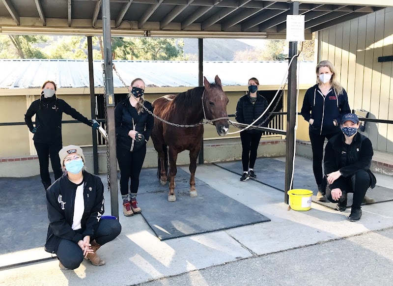 Shadow Hills Equestrian Center photo 2