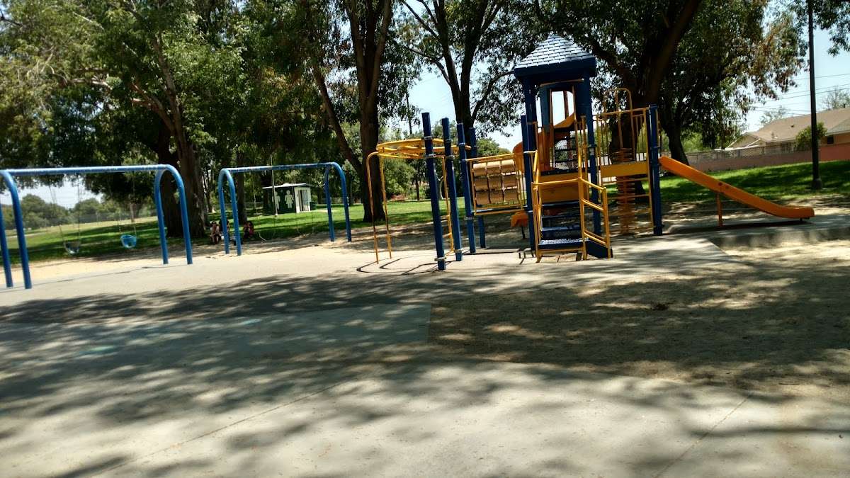 Shady Tree Playground