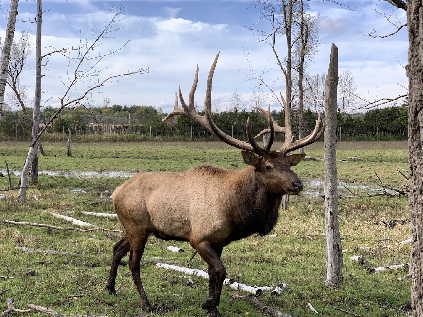 Shalom Wildlife Sanctuary LLC photo 3