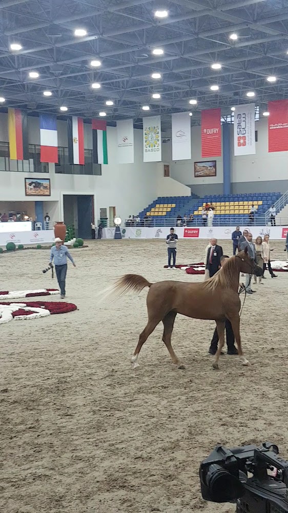 نادي الشارقة للفروسية والسباق photo 3