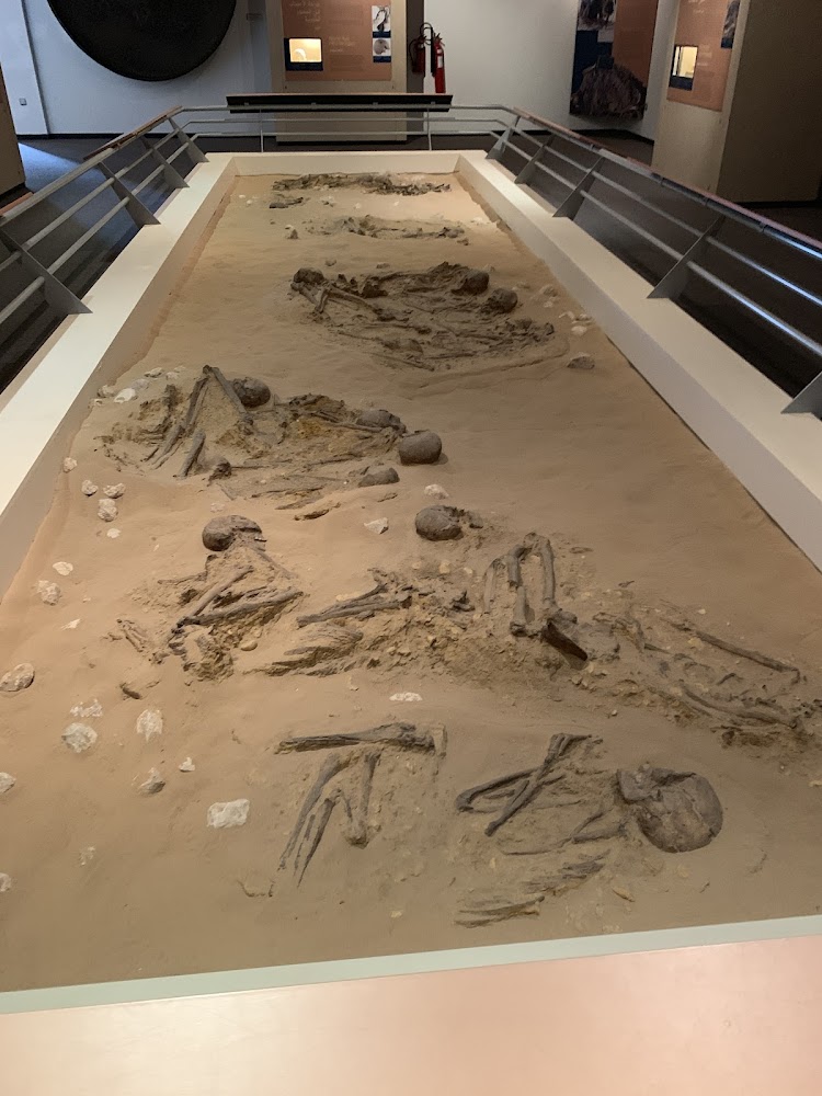 Sharjah Archaeology Museum photo 4