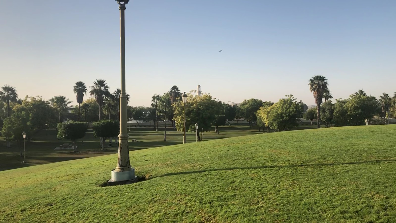 Sharjah National Park photo 3