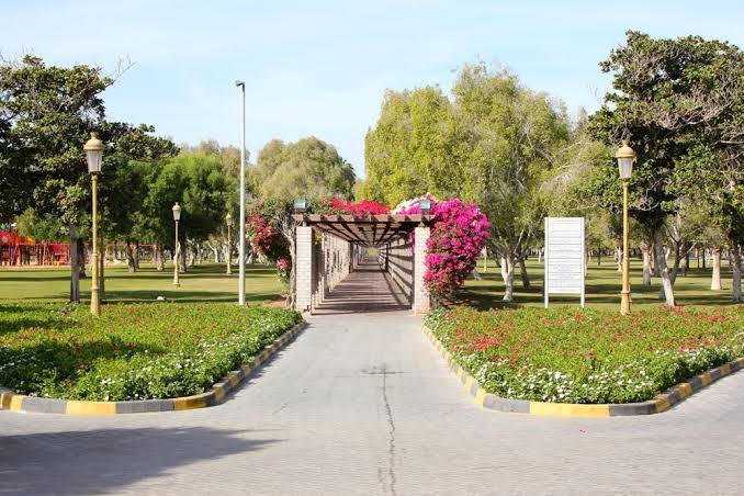 Sharjah National Park photo 5