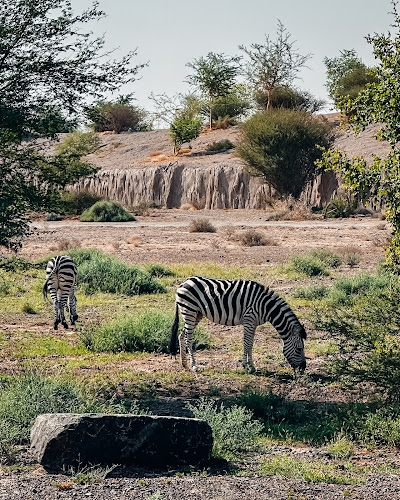 Sharjah Safari