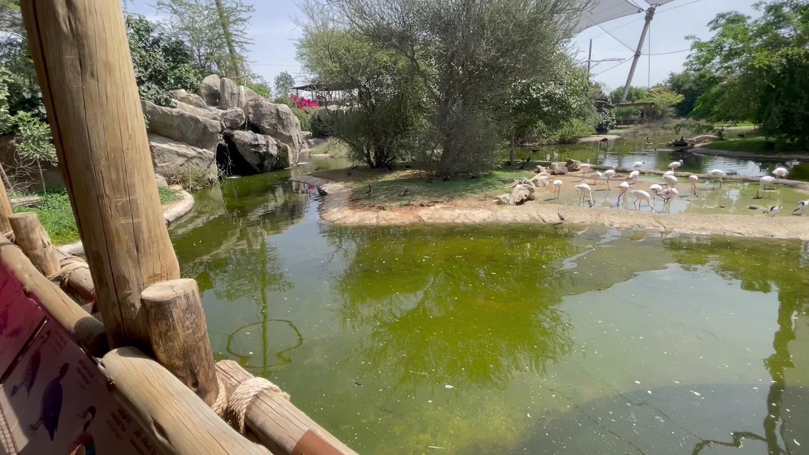 Sharjah Safari photo 3