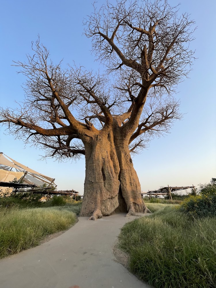 Sharjah Safari photo 4