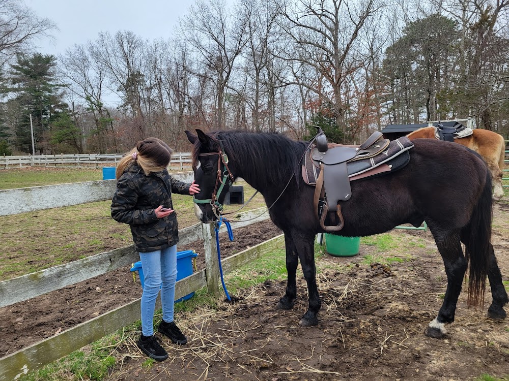 SHYANCHEE STABLES AND HORSEBACK RIDING