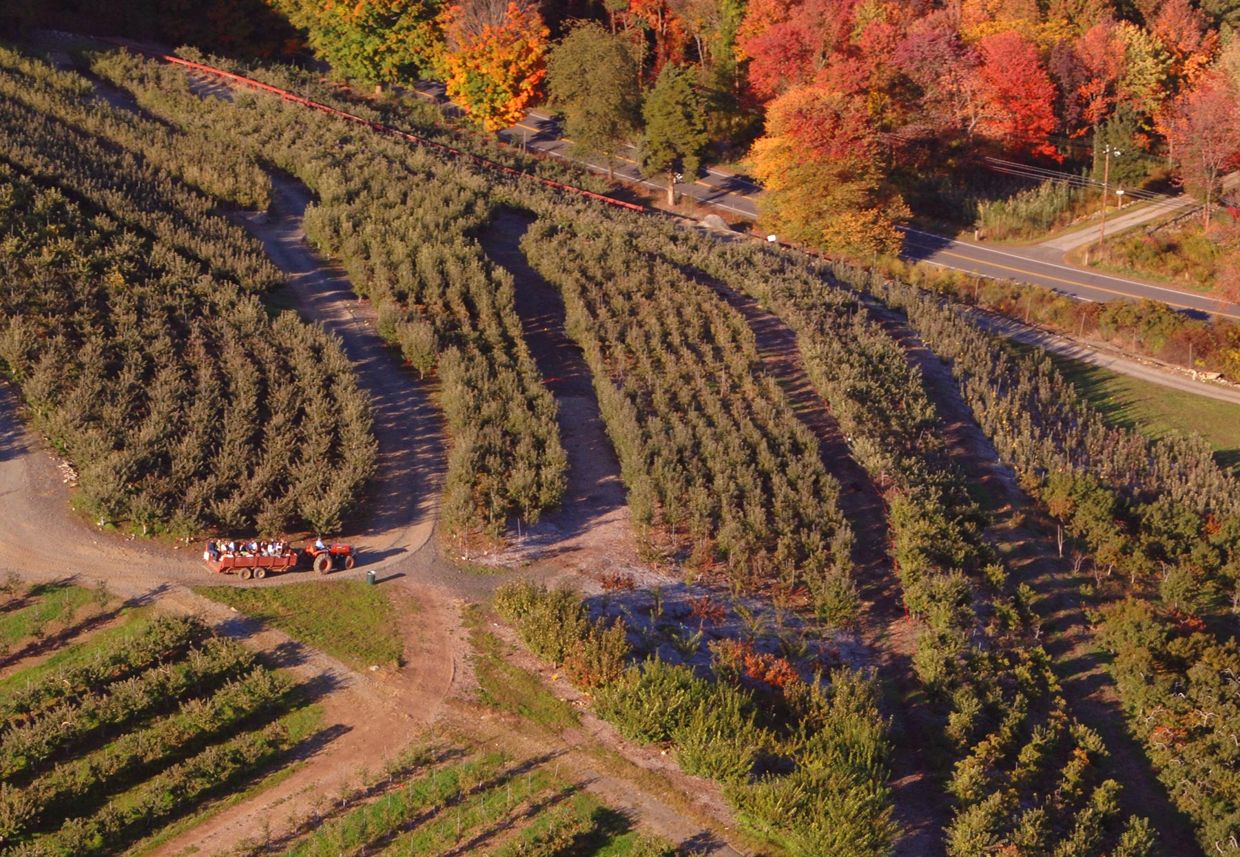 Silverman's Farm
