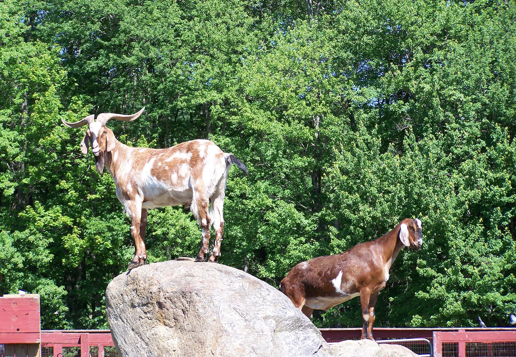 Silverman's Farm photo 2