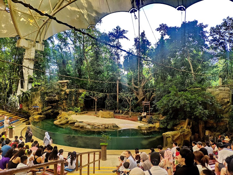 Singapore Zoo Shaw Amphitheatre
