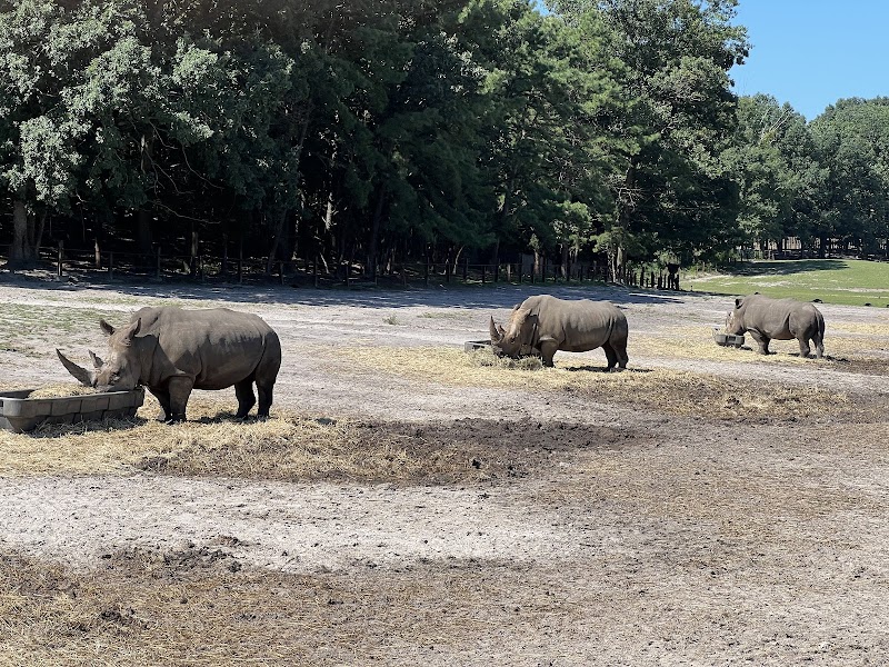 Six Flags Wild Safari