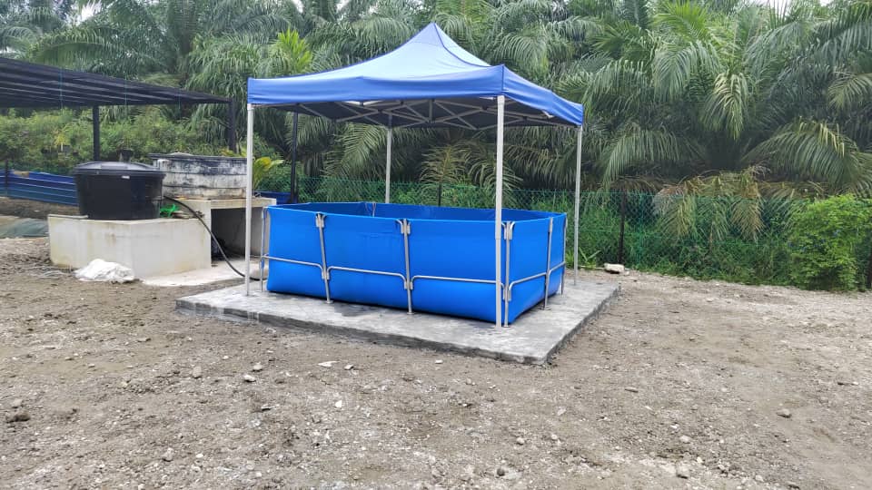 SK LEISURE swimming pool photo 3